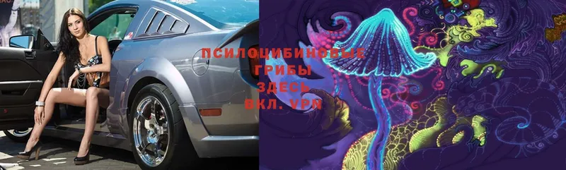 Псилоцибиновые грибы Cubensis  Снежинск 